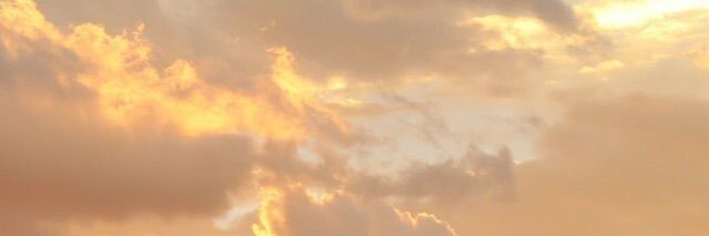 ET_petal's profile banner image