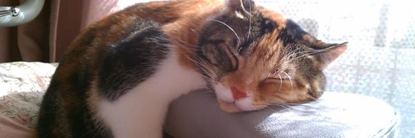 mixtakuro Profile Banner