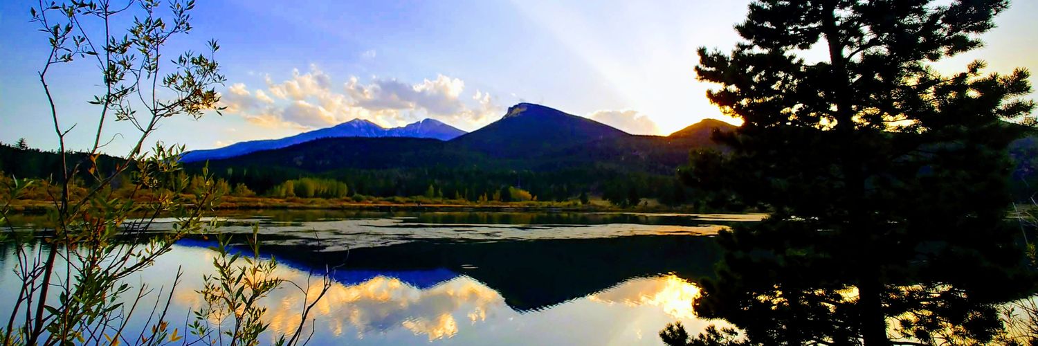 Katerina Flanders banner