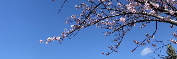 joeyruption Profile Banner