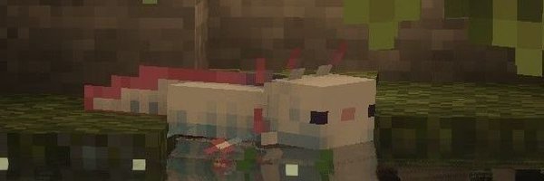 Puddyn_ Profile Banner