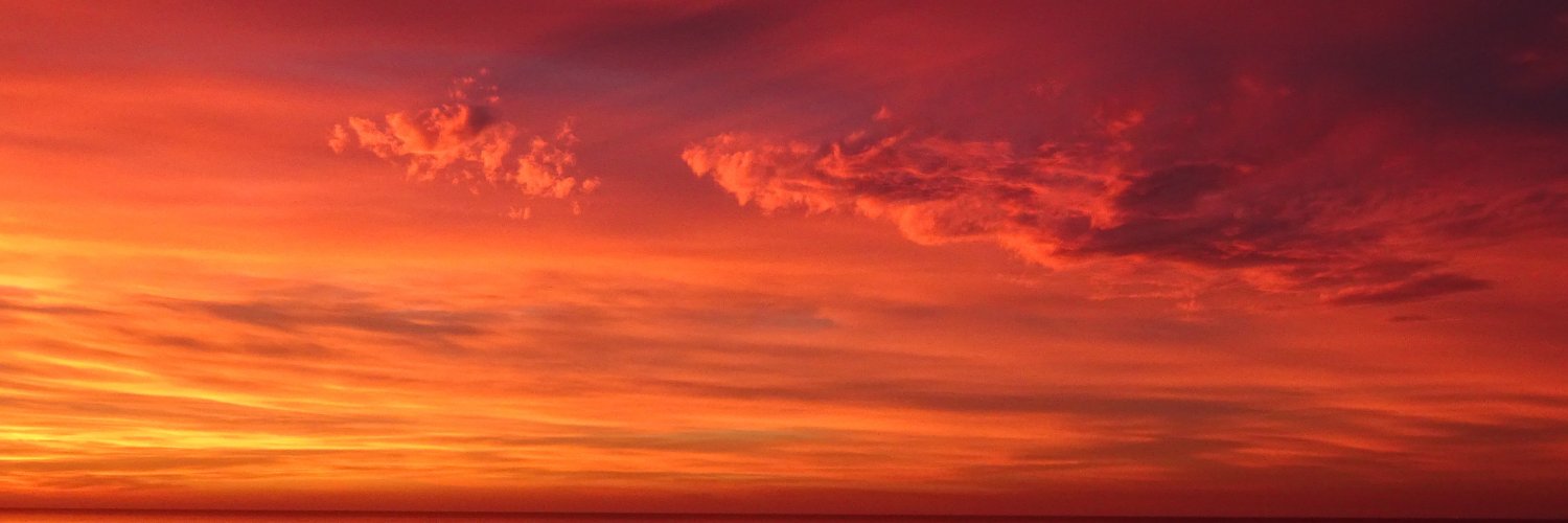 Vixennnnnn's profile banner image