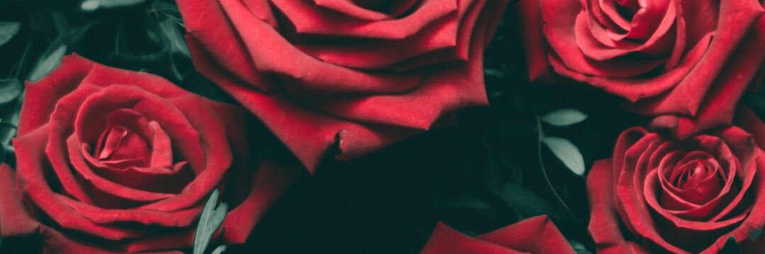 filosofoporti's profile banner image