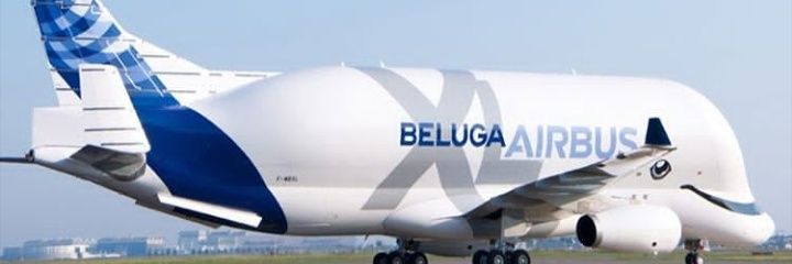 Paul Rodga ➡️ BlueSky banner