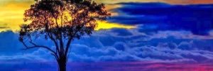 mariselarop's profile banner image