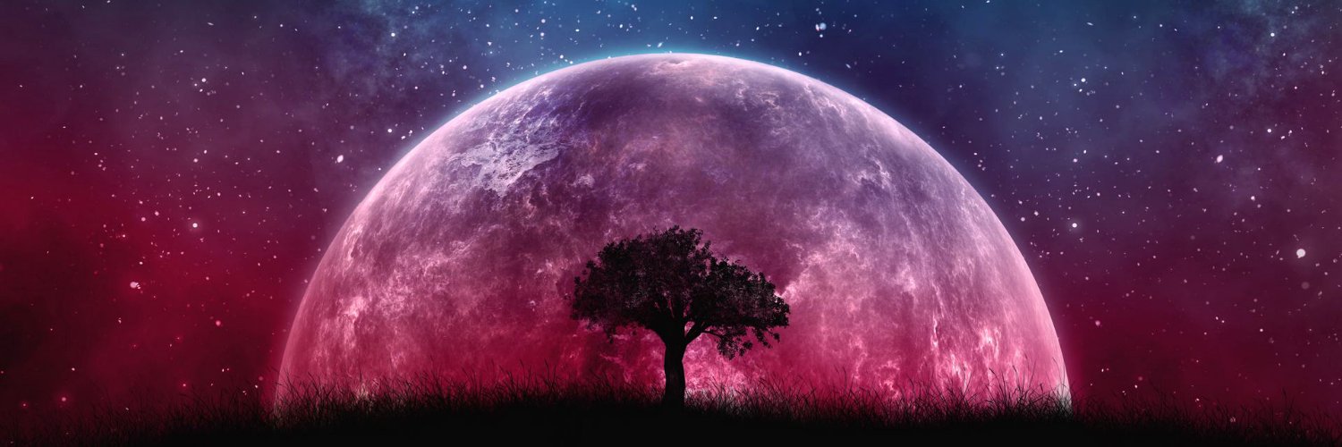 Spec02624170's profile banner image