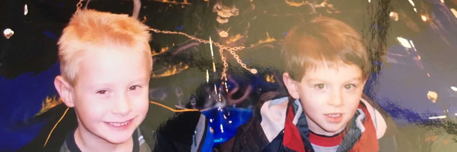 Boiid banner