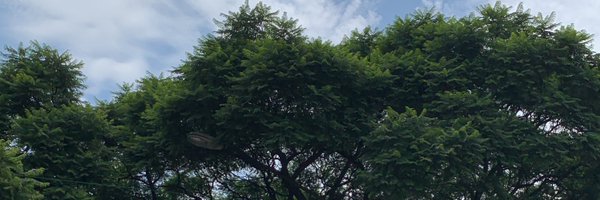 CarlosFermin_99 Profile Banner