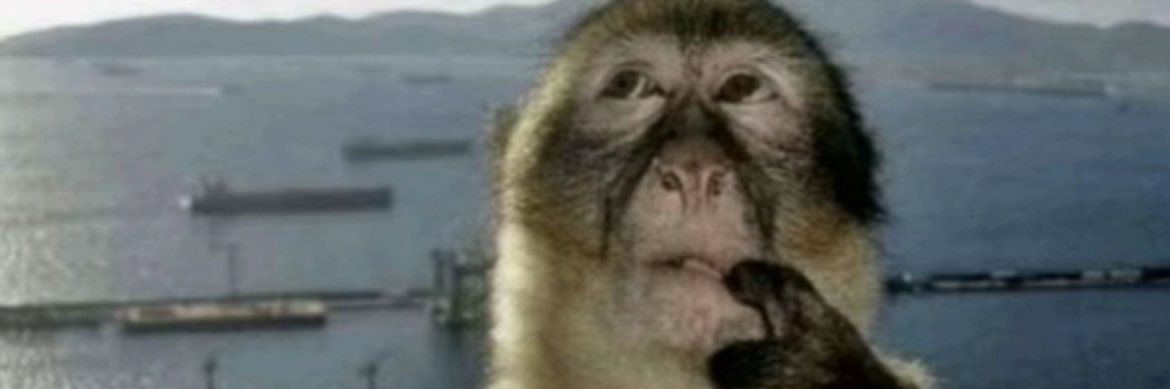 Kareem 🇵🇸 banner