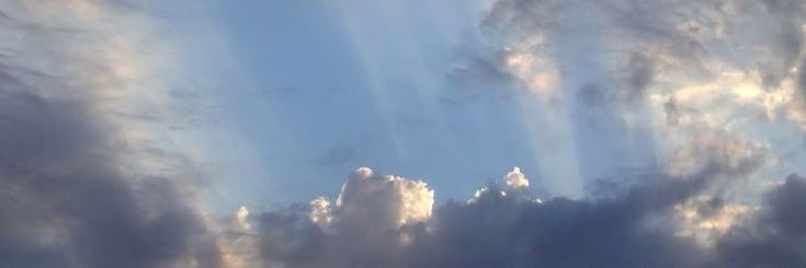 woniszule's profile banner image