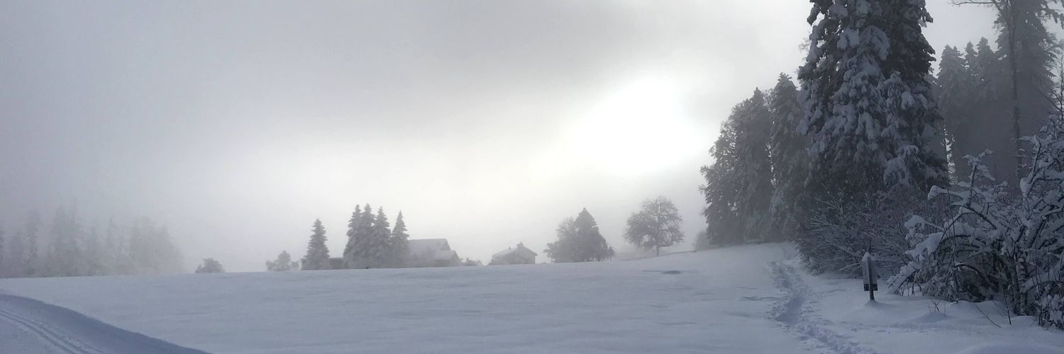 FlaigAndreas's profile banner image