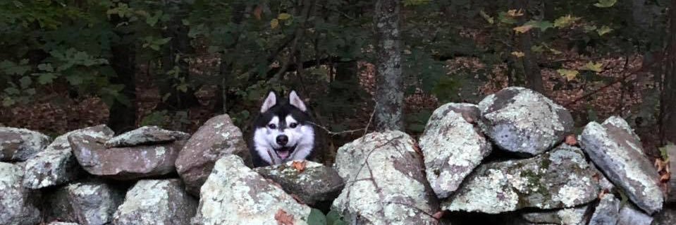 tkfarley1's profile banner image