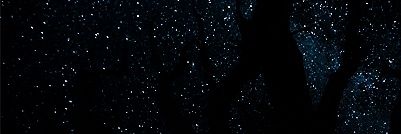 Needefnemi's profile banner image
