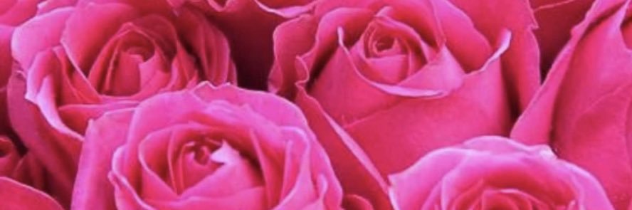 🧚🏾✨•J•✨🧚🏾 banner