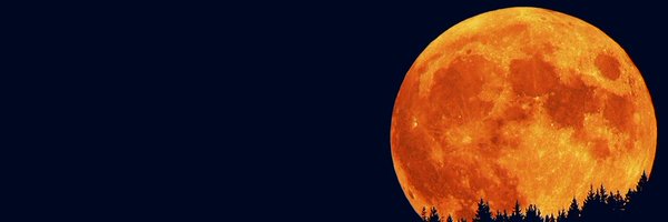 CMike444 Profile Banner