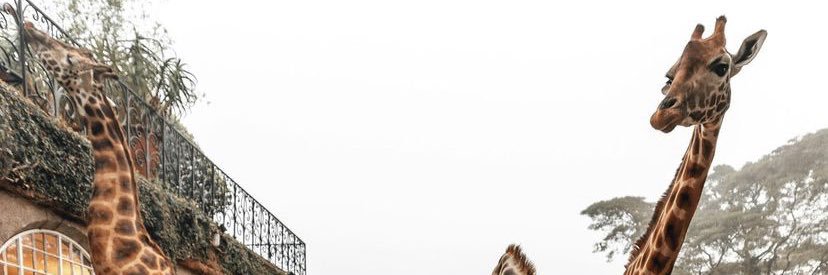 Selena⭐️ banner
