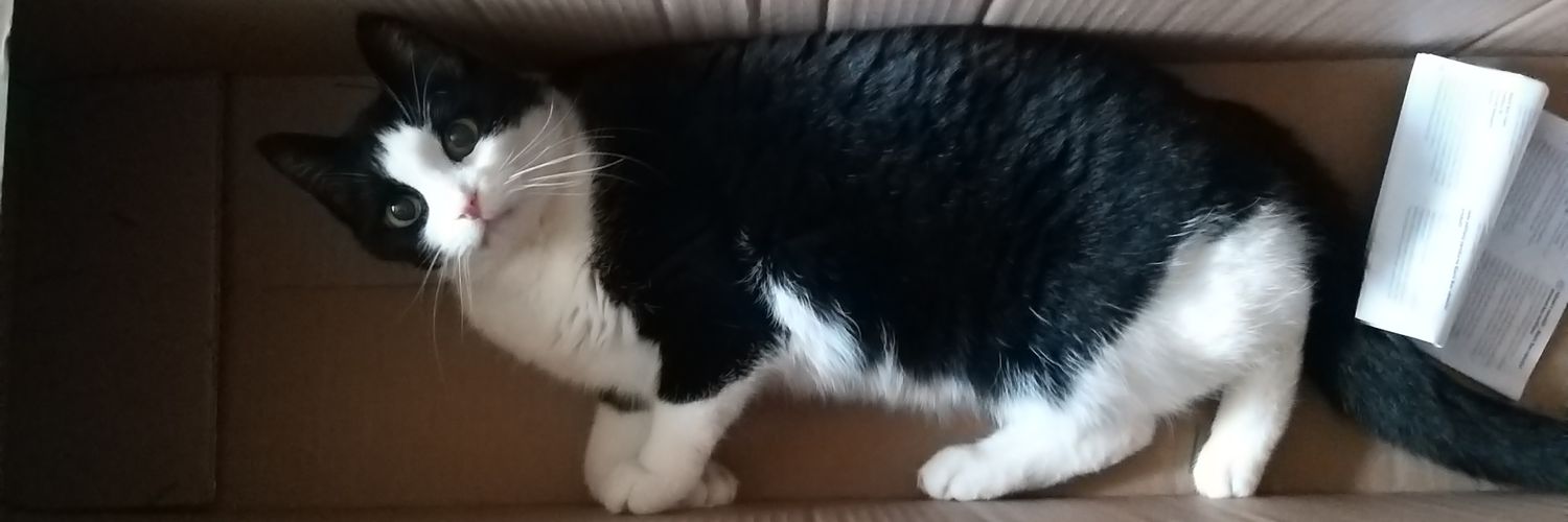 Dennis & Sheeba!🇳🇱 banner