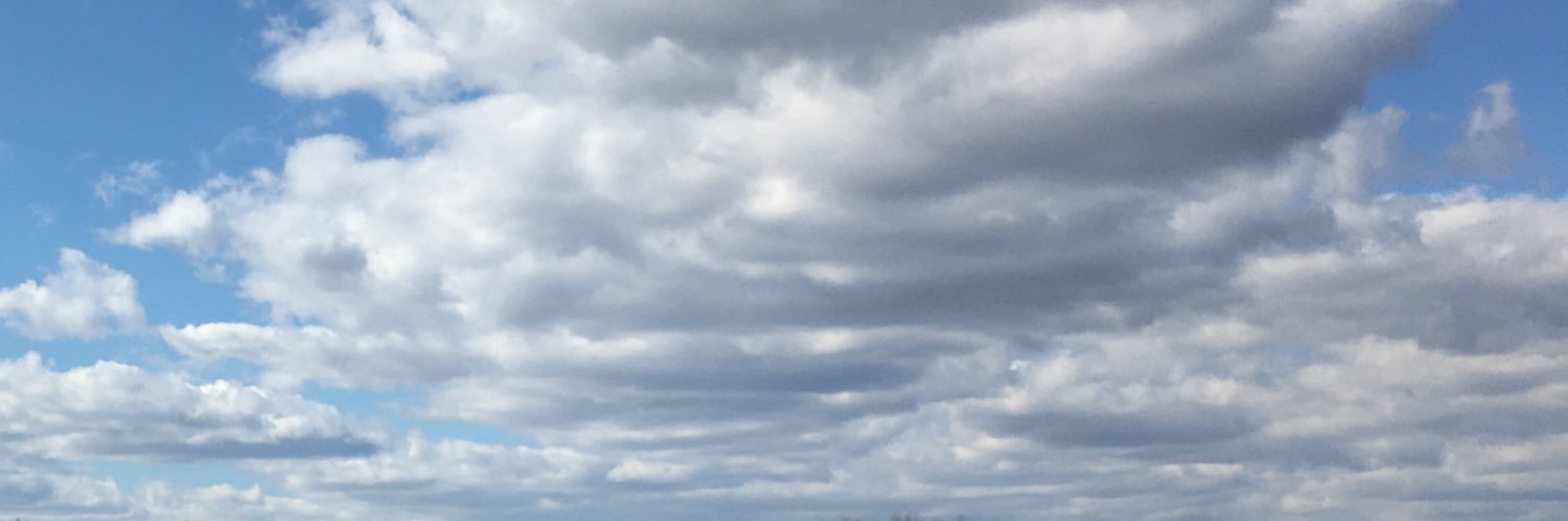 THESKYDAVIS's profile banner image