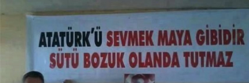 cirrhilabrus exquistis banner