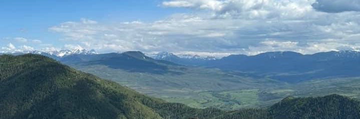 🦖🏳️‍🌈MsNikki banner