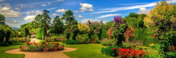 Tuyet Cotes❤️ Memecoin banner