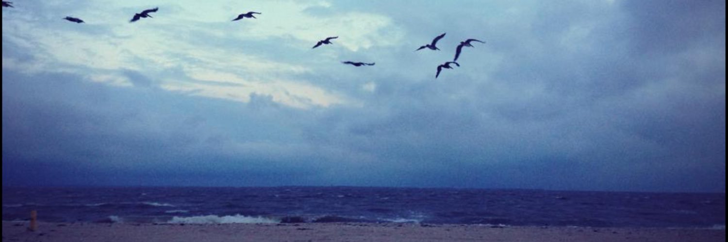 carolinastrain's profile banner image