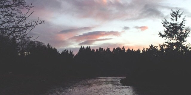 RexParty's profile banner image