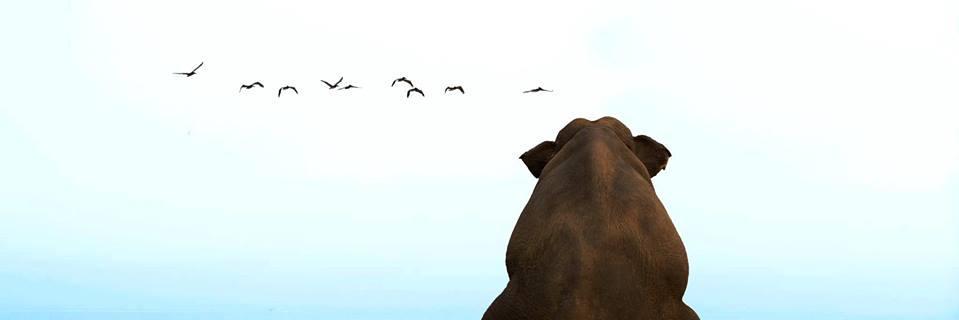 zekiyetass's profile banner image