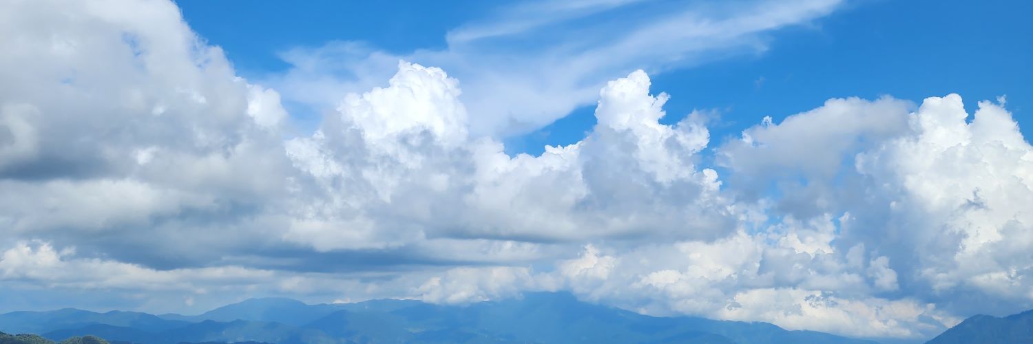 ltapsss's profile banner image