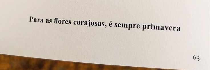 Templo do Sol ☀️ banner