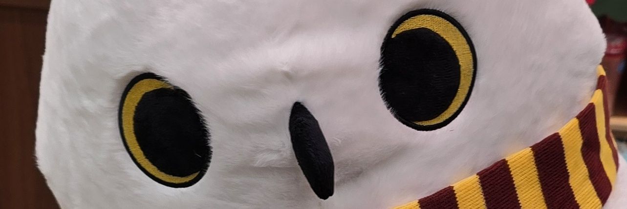 sunsanec's profile banner image