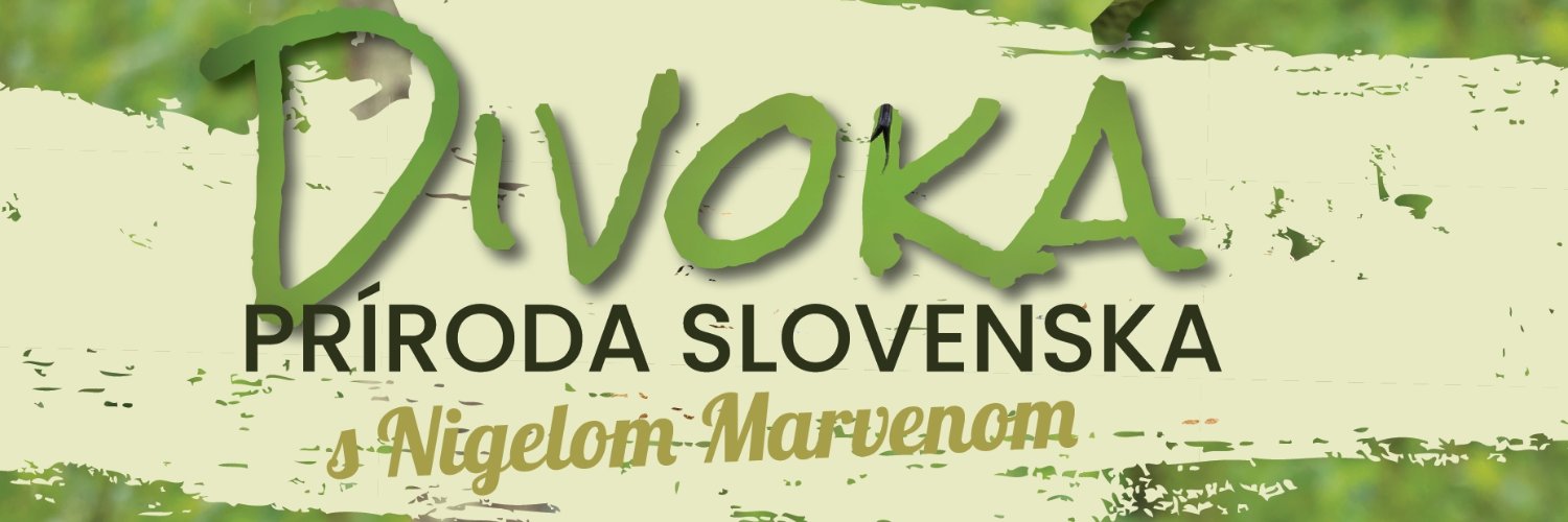 Divoká príroda Slovenska s Nigelom Marvenom banner