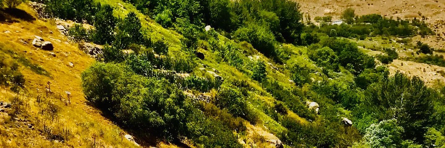 sami_karimi25's profile banner image