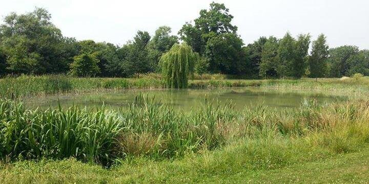 South_Cerney's profile banner image