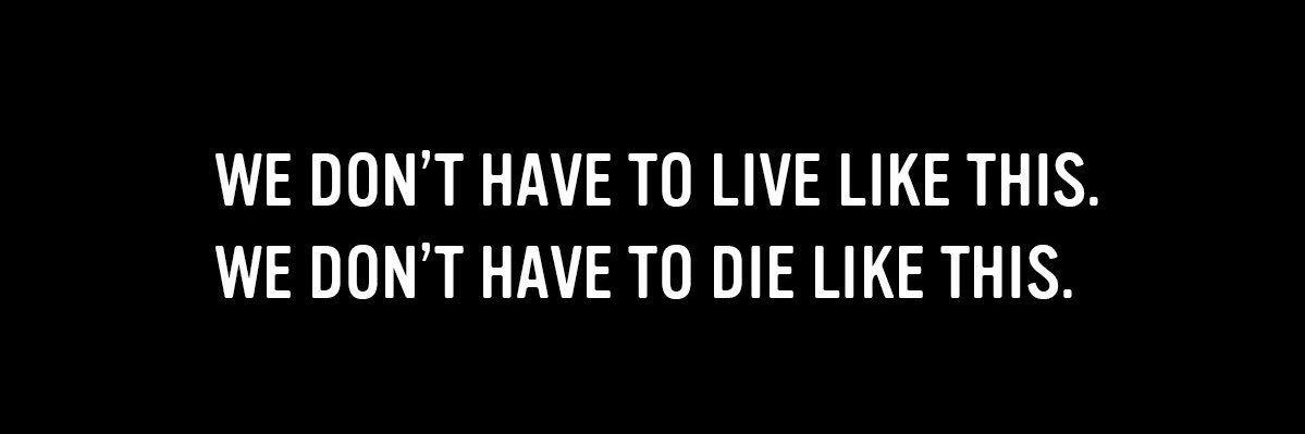 cristina hassinger banner