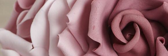Callisto_L's profile banner image