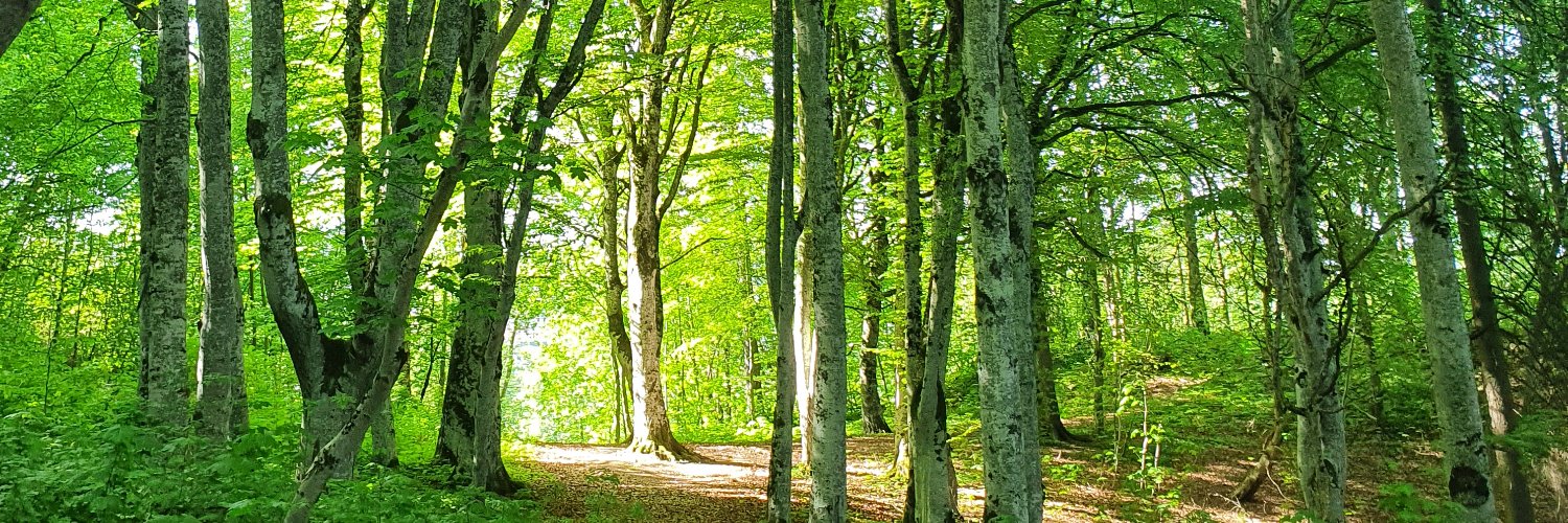 Hilde Gunn Slottemo banner