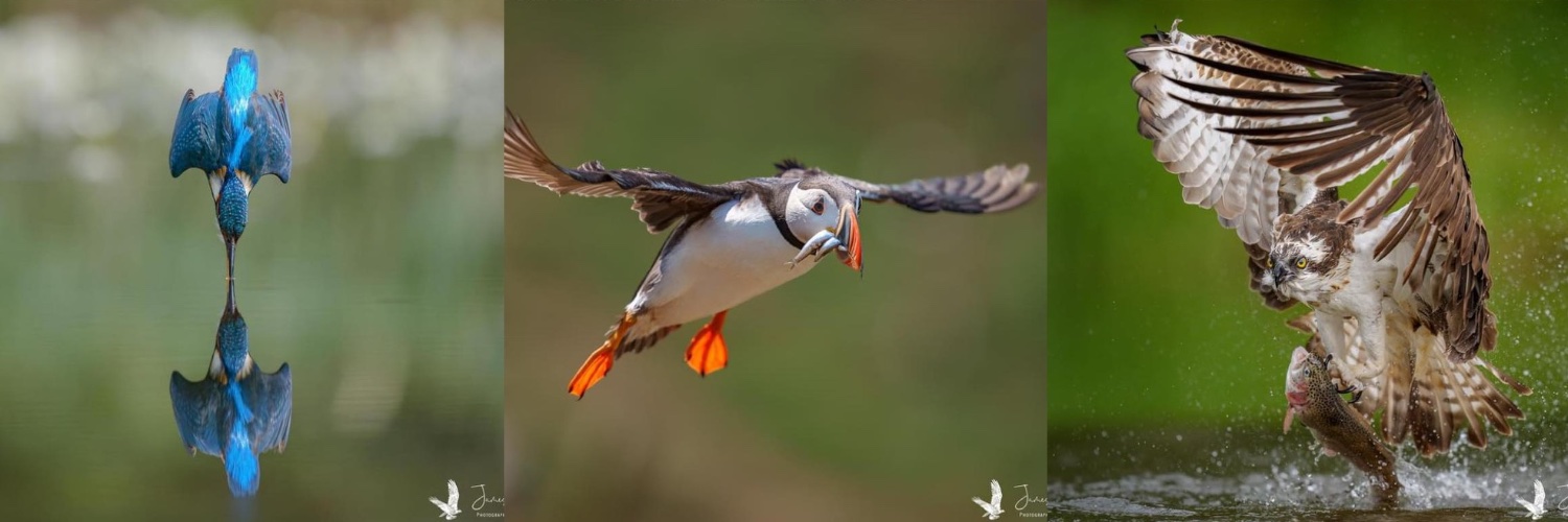 James Gregory Wildlife Photography banner