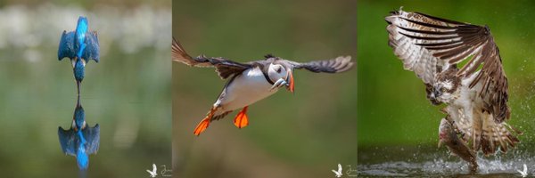 jamesgregoryph Profile Banner