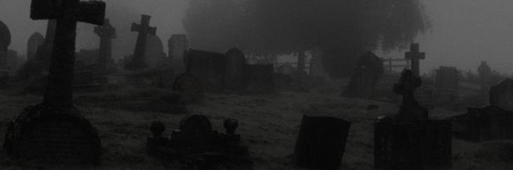moonie. banner
