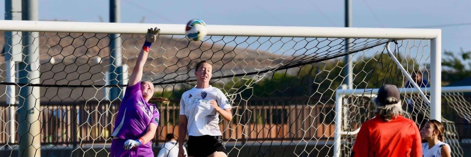 Katelin Ballinger banner