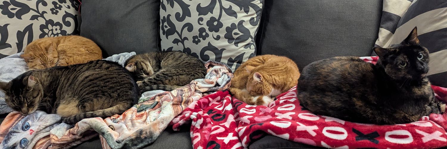 meeps ⚡ 🔜 HOU PKMN banner