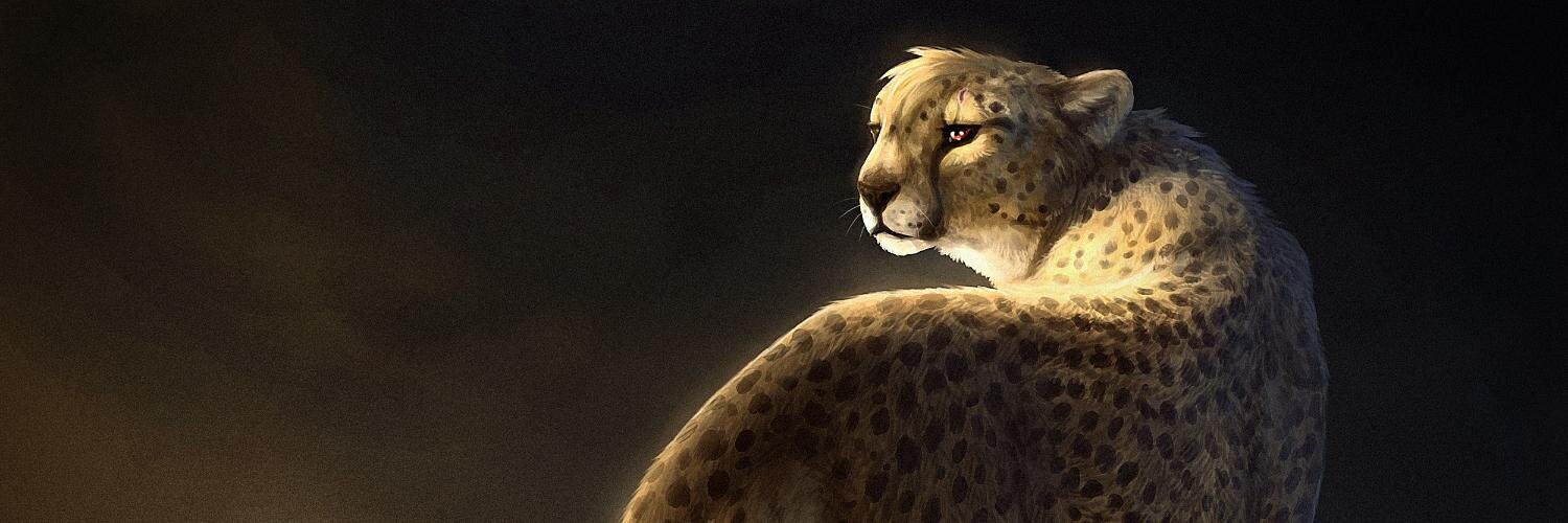 Dumari's profile banner image