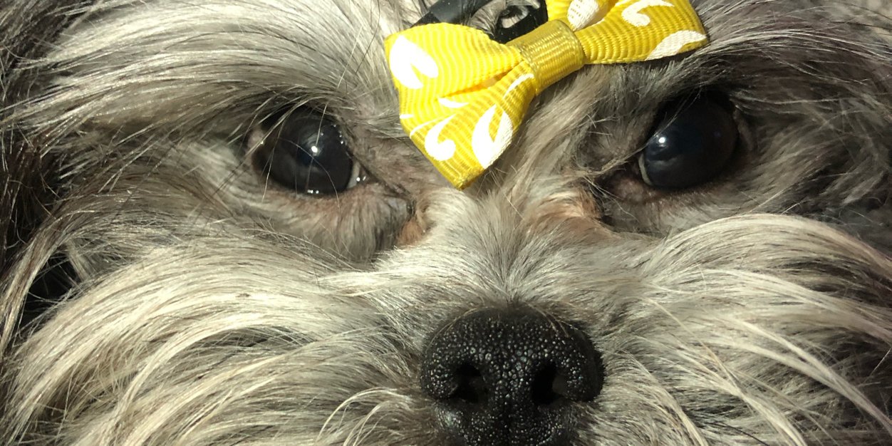 HashtagSarah's profile banner image
