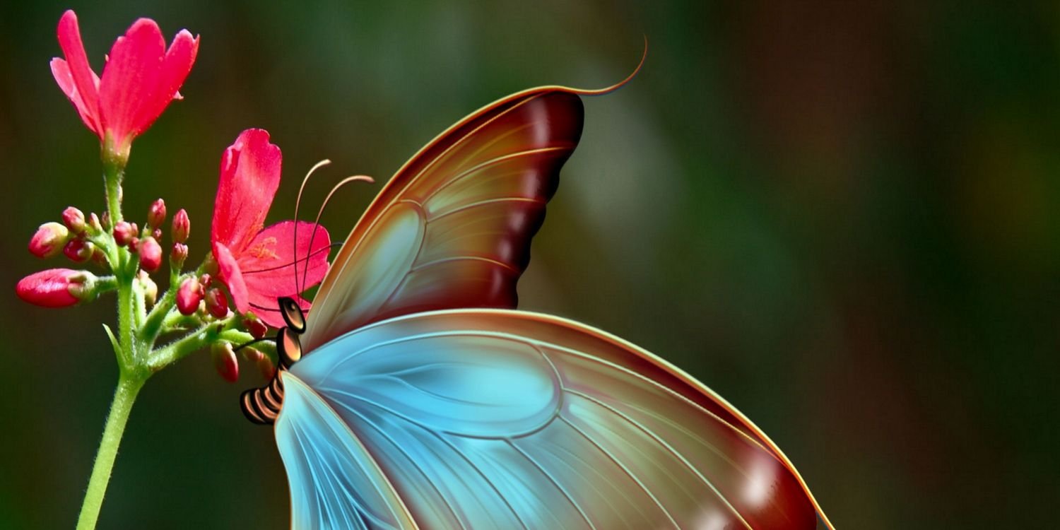 bonygme's profile banner image