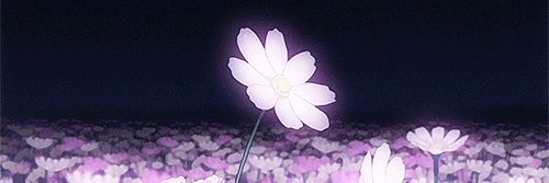 V3nuzy's profile banner image