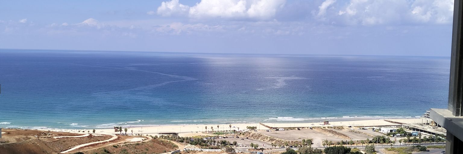 DaliaIsrael's profile banner image