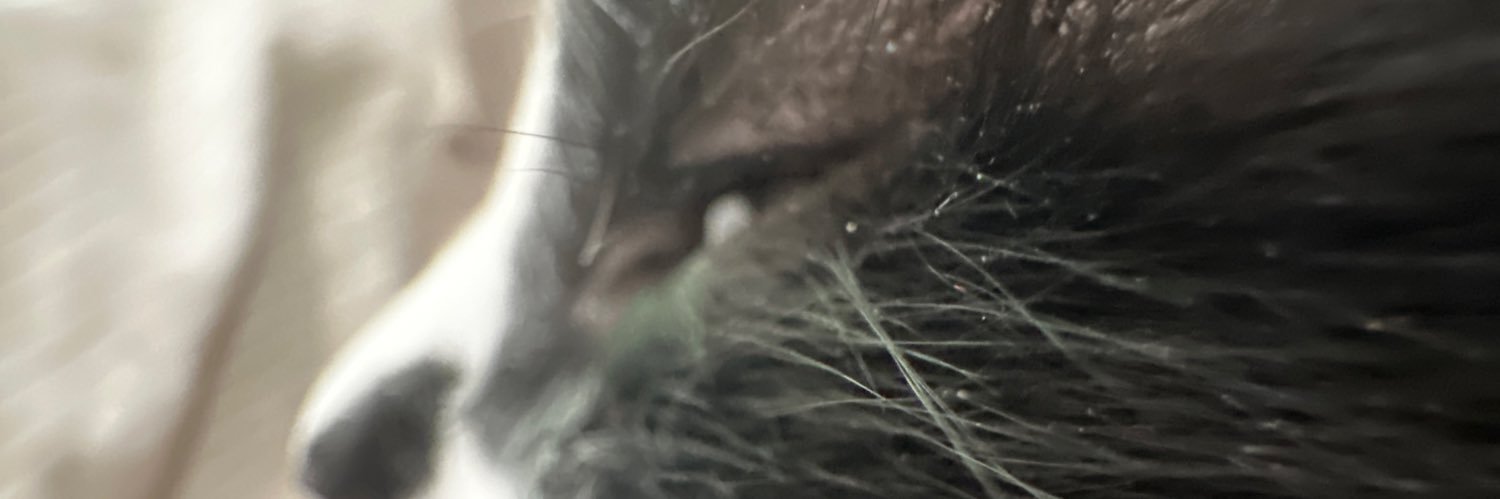 drew_broken's profile banner image