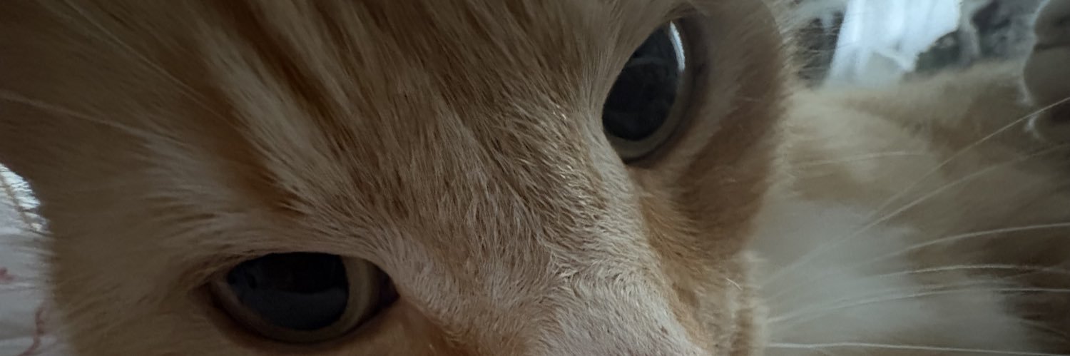 _ellenCx's profile banner image