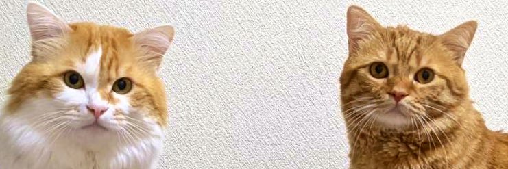 雪だるま banner